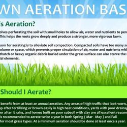 Aeration,power rake,fertilizer 