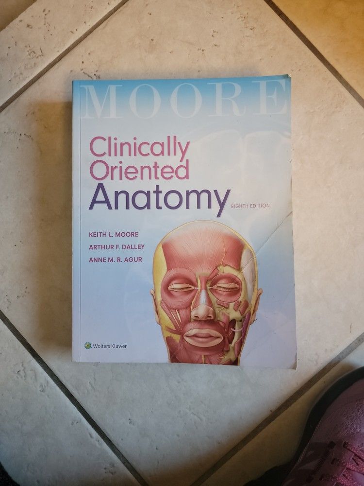 Moore Clinically Oriented Anatomy 8th Edition
