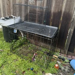 Dog Kennel 