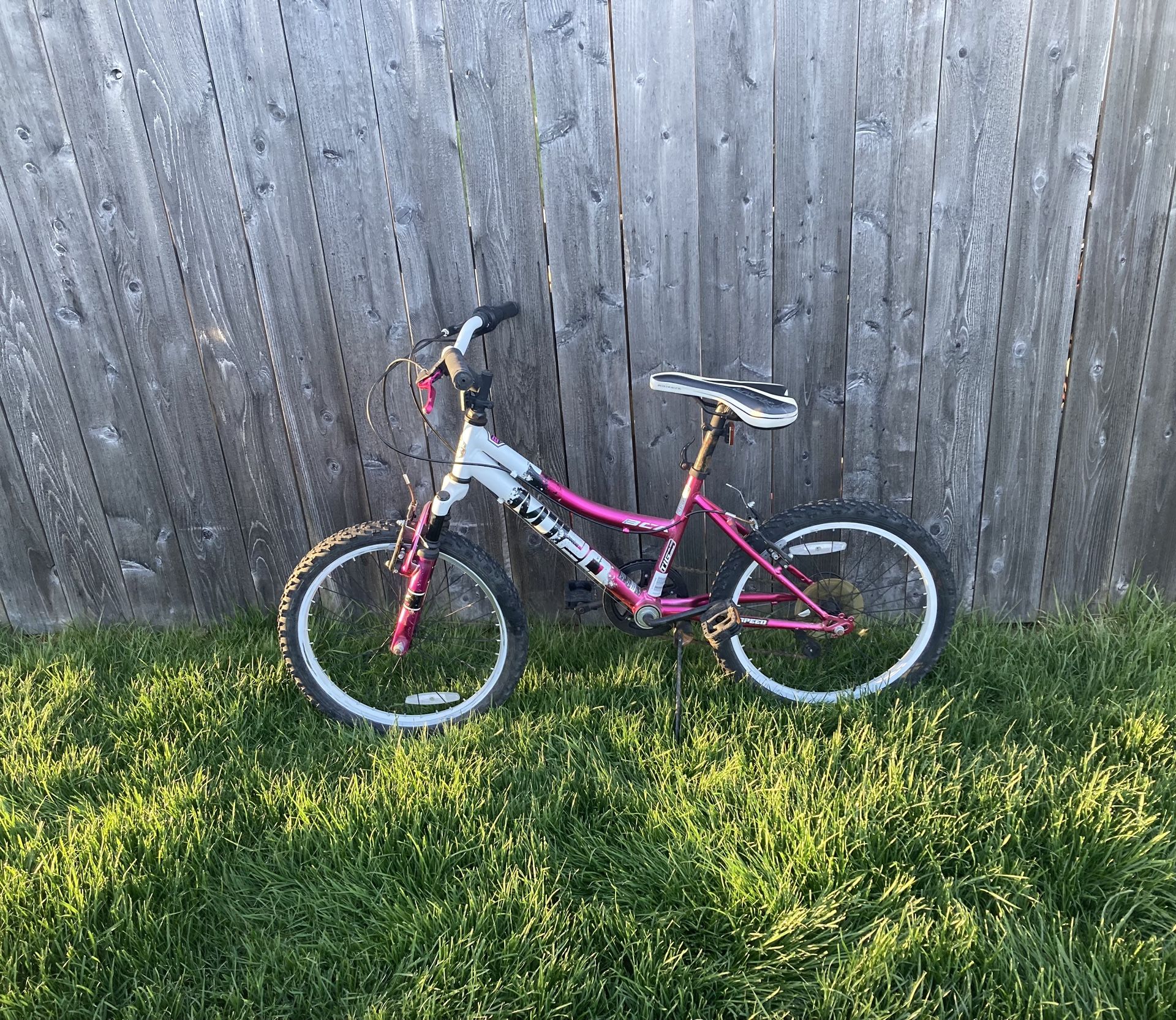 NEEDS WORK 20" Girls' BCA MT20 Mountain Bike TLC bicycle tires Project