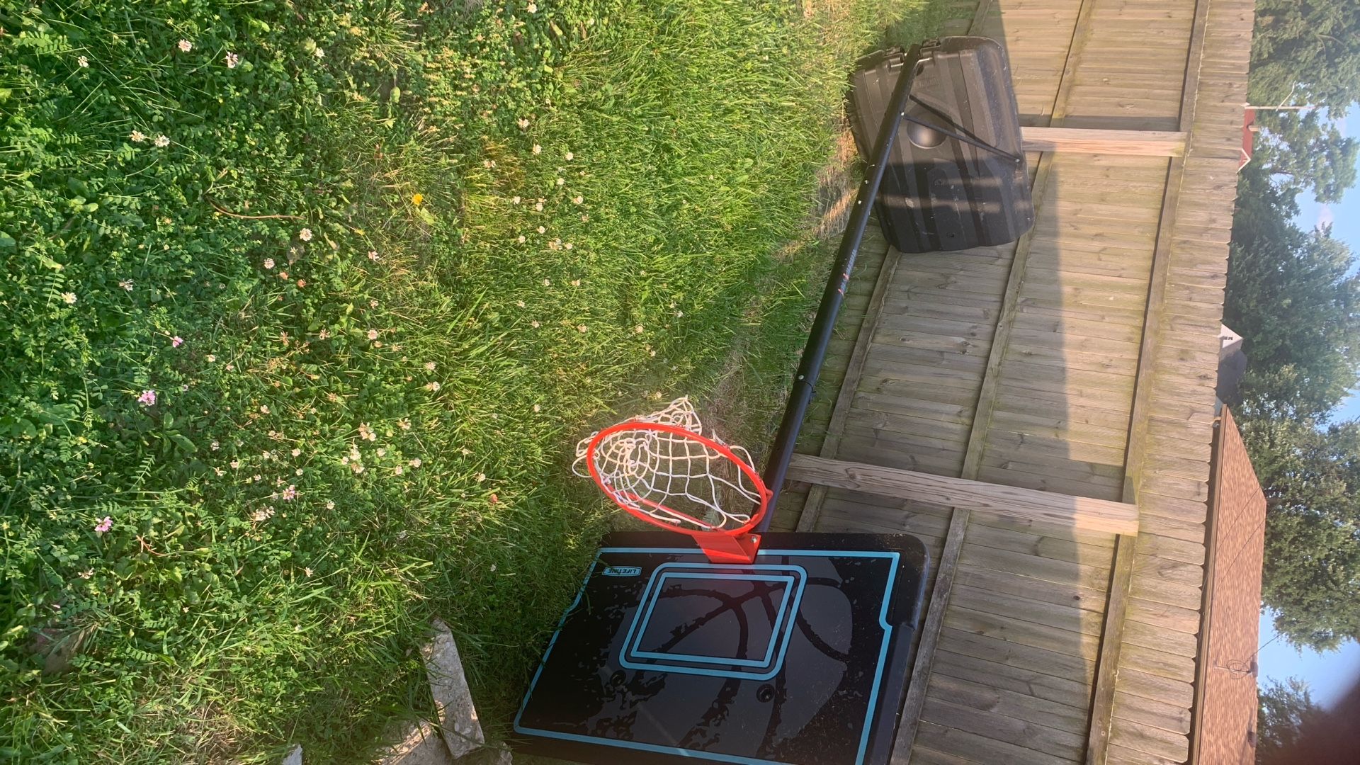 Basketball Hoop