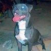 Kefe