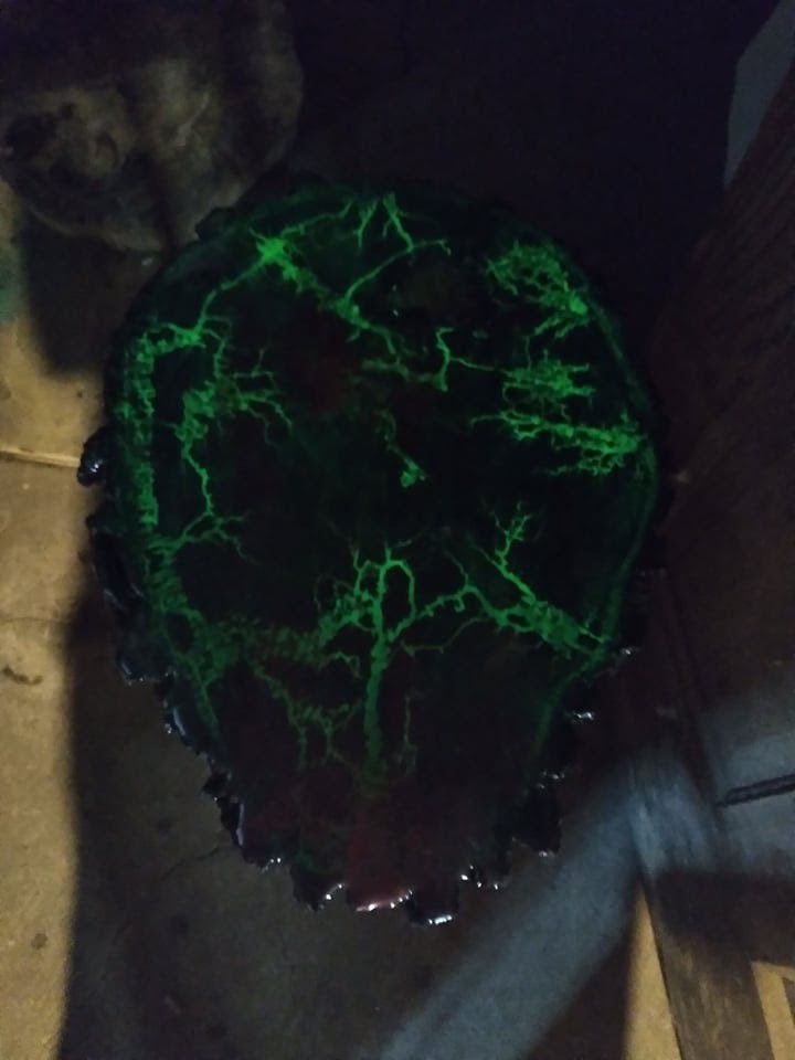 Live Edge Decorative Table With Glow In The Dark Freckle Burning And Lamp