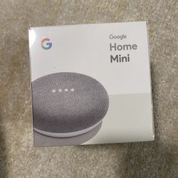 Google Mini Home