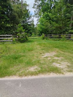 24 Acres for léase (.  For  COWS AND HUNTING ) county rd 3011 Dayton TX