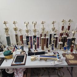 Karate Trophies 🏆 Collection 
