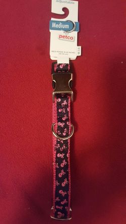 Dog leash and collars