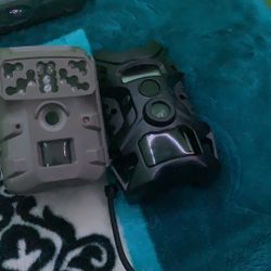 Trail Cameras
