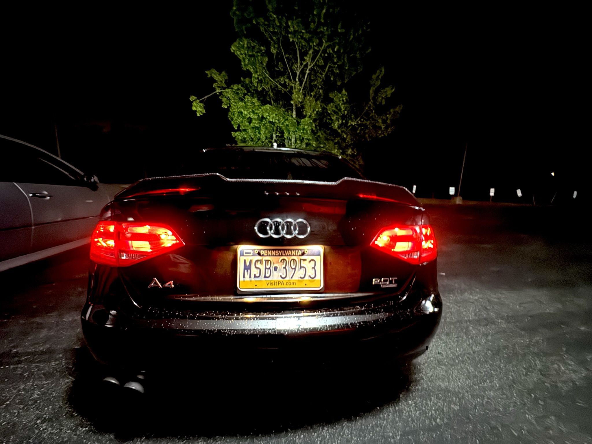 Carbón Fiber Duck Tail For Audi A4 B8