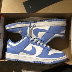 Polar Blue nike Dunks