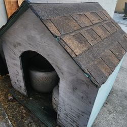 Dog House 