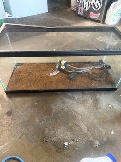 Reptile tank