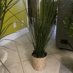 Fake Grass Plant 