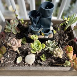 Succulent Box With Mini Water Fountain