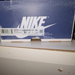 Brand New Jordan Retro 5y