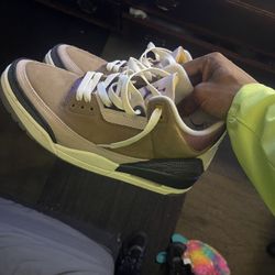 Jordan 3s 