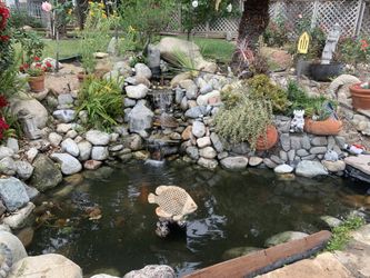 Pond Cleaning 