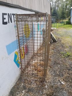 Giant six-by-six by 2' cage solid steel has locking mechanism