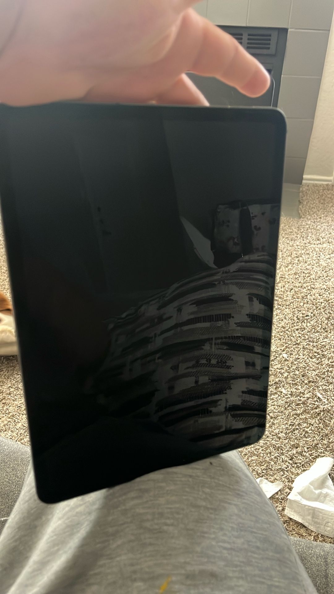 iPad Pro (11inch) 2nd Generation 128 GB
