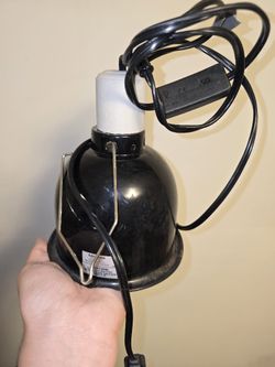 Small Reptile Lamp
