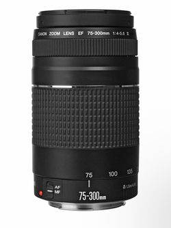 Canon EF 75-300mm f/4-5.6 III Zoom Lens