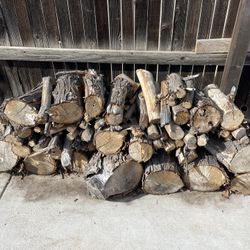 Maple Tree Logs 