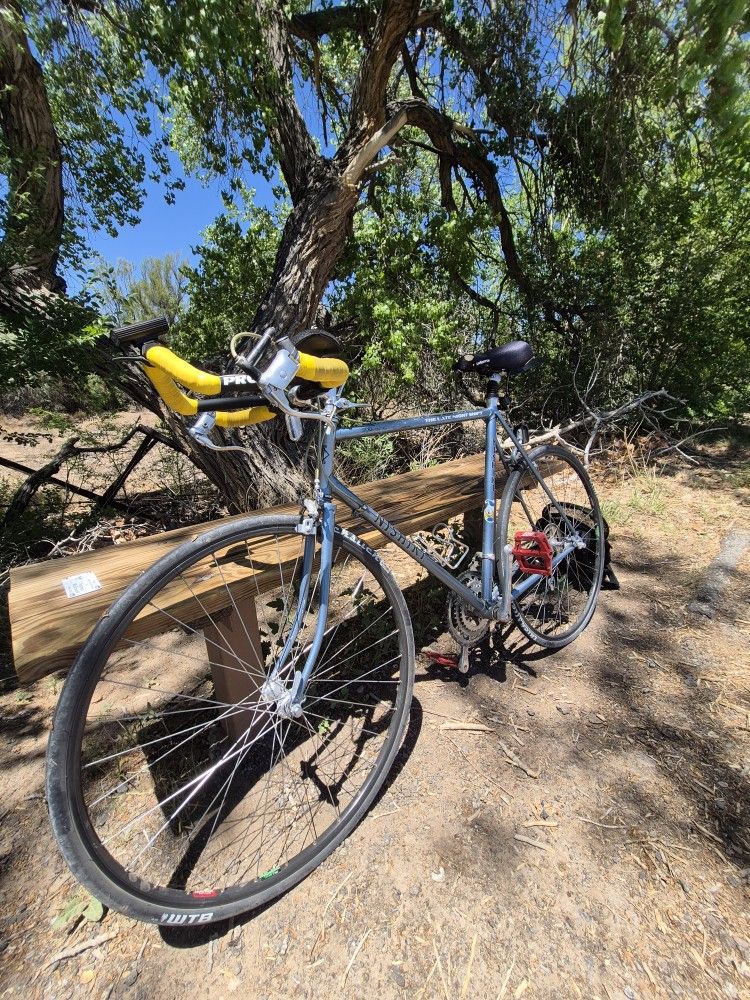 Nashiki Sport Road Bike