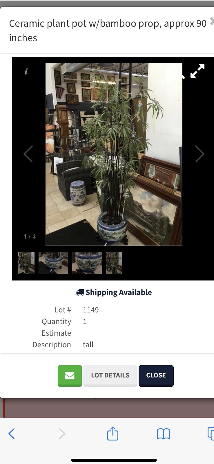 Bamboo plant and vase