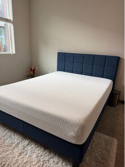 Queen Bed and Mattress