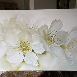 Floral Canvas Art
