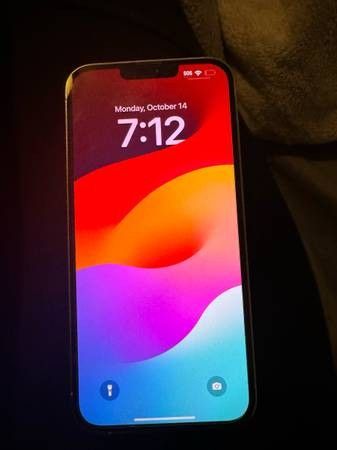 Neat iPhone 13 Pro Max Up For Sale 