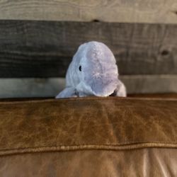 Dolphin Stuffed Animal