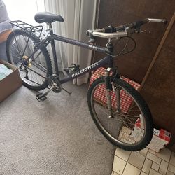 Raleigh Bike