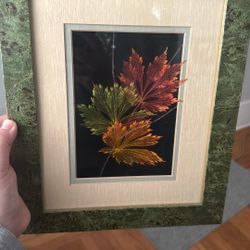 “Leaf Lines” Art Piece By Booker Morey