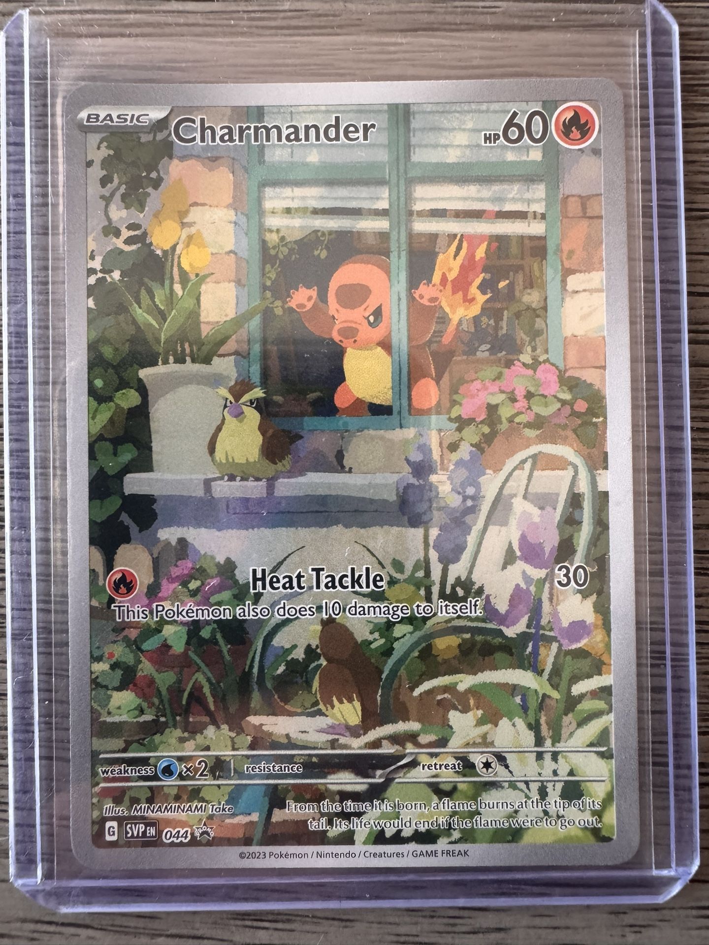 Charmander Promo Obsidian Flames ETB Promo