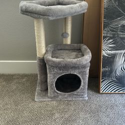 Cat Post
