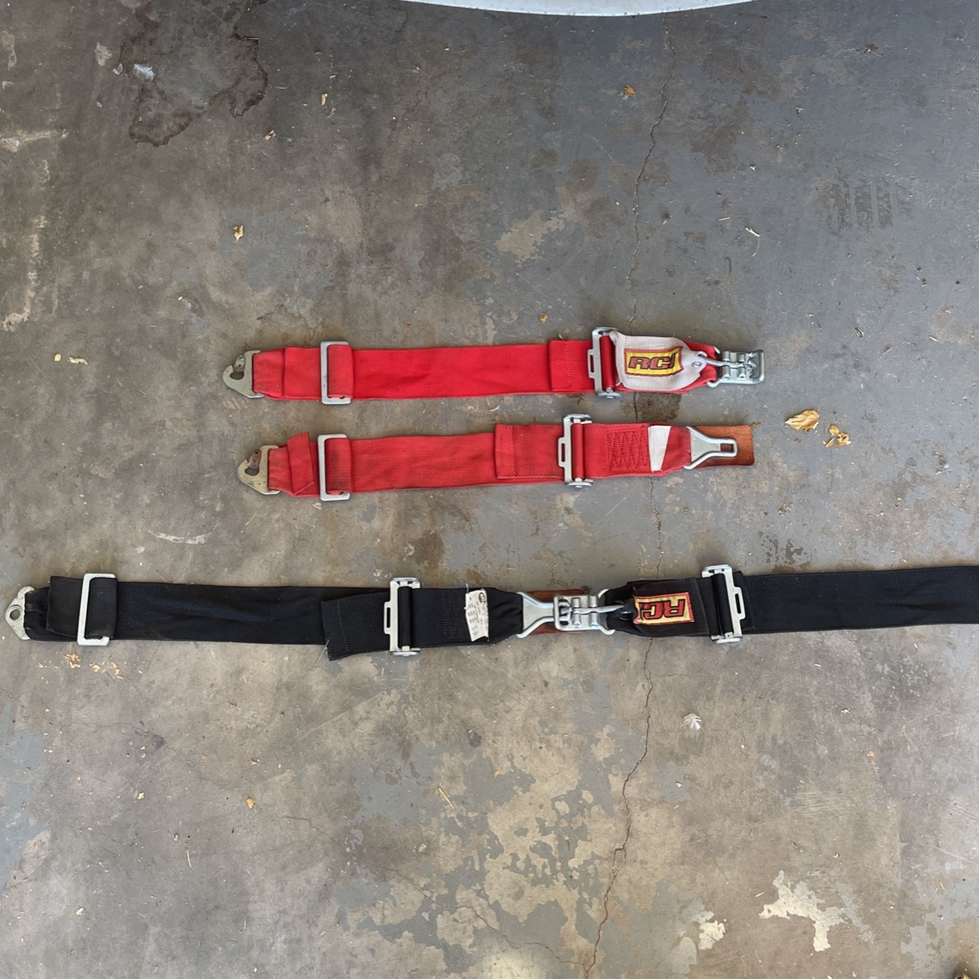 RCI Seat Belts