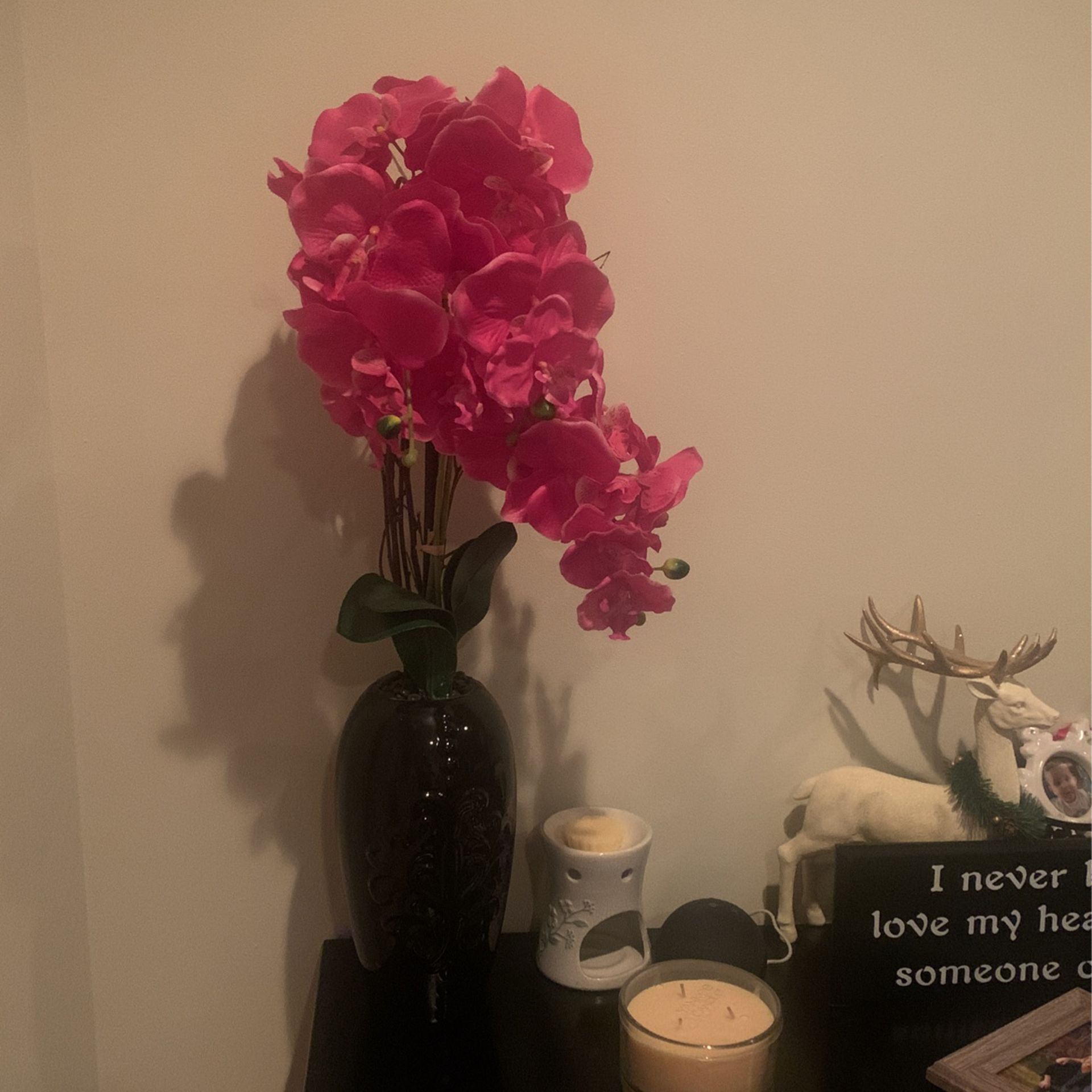 Plant In Nice Vase