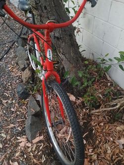 Schwinn Cruiser