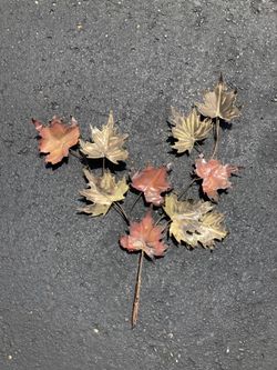 Metal Leaf decor  (read details)