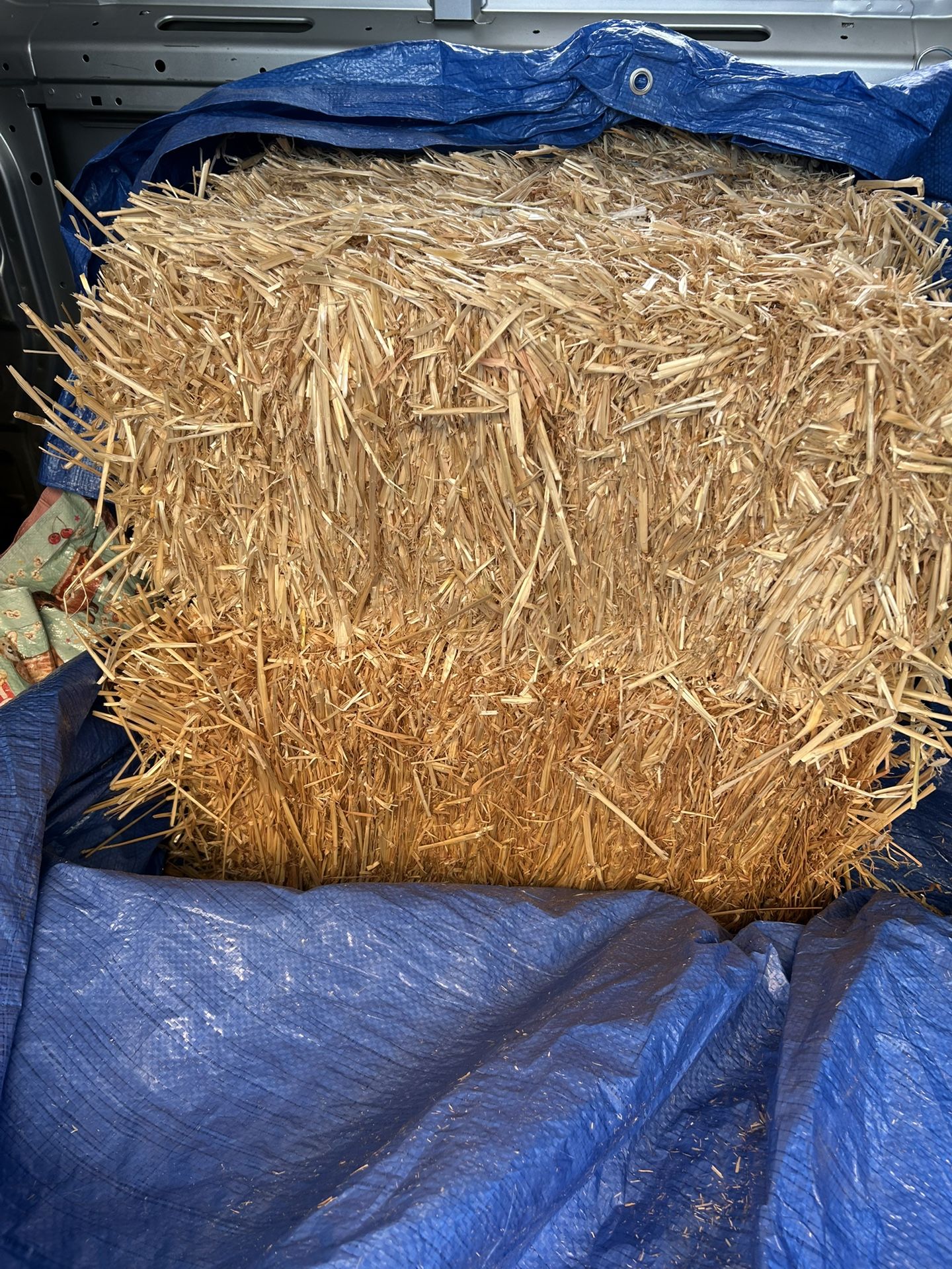 Straw Bedding /Fall Decor