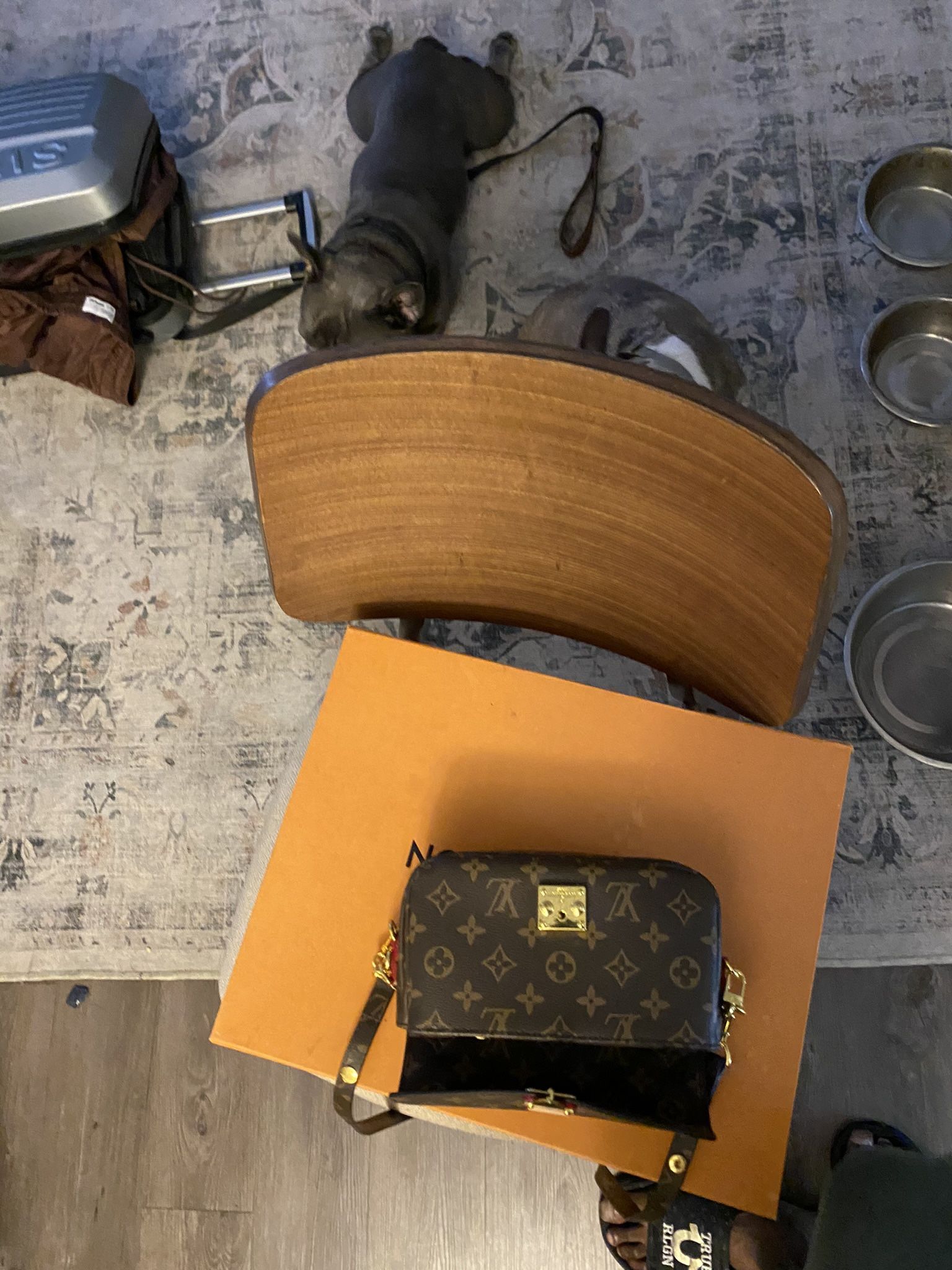 Louis Vuitton Purse