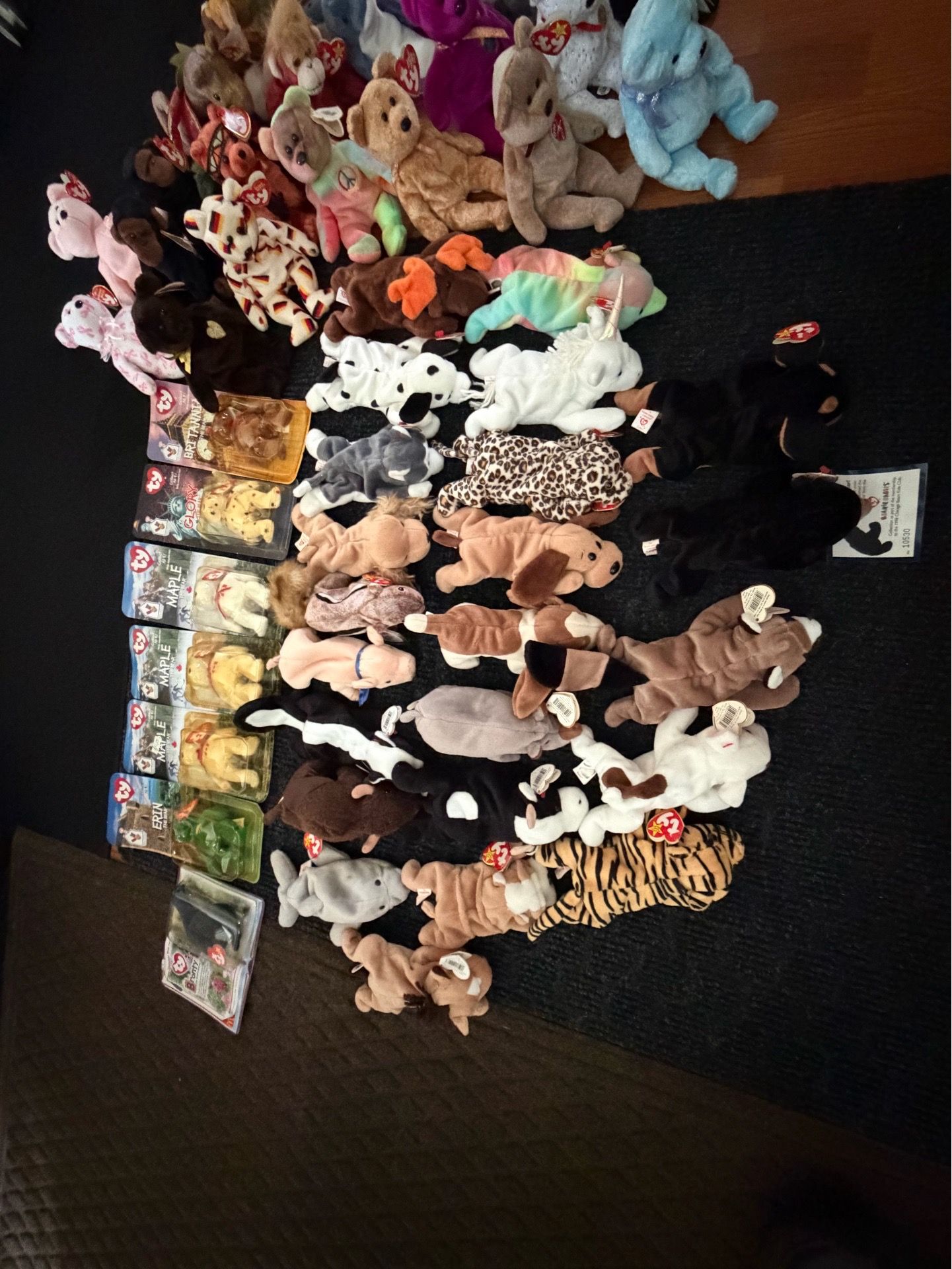 TY Beanie Babies Collection!