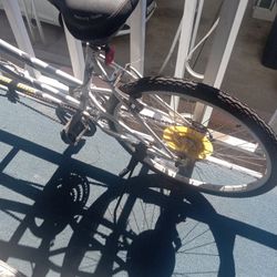 Stepper And Tandem Bike