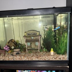 Fish Tank