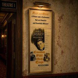 1951 Come Fill the Cup Original Insert Movie Poster James Cagney Framed 36x14