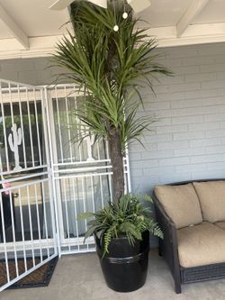 Planta artificial