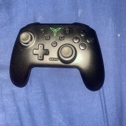 Nintendo Switch Controller 