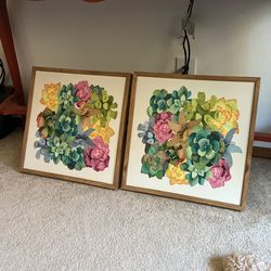Super Cute Succulent Framed Canvases
