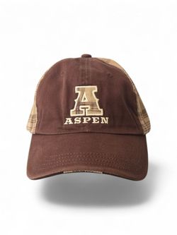 🧢🔥 Aspen Brown Plaid Baseball Cap